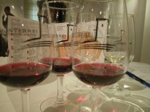 Vino de la D.O. Monterrei